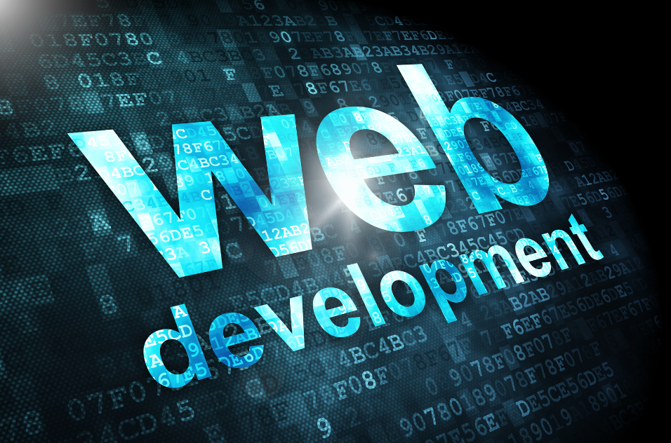 web app development company in usa